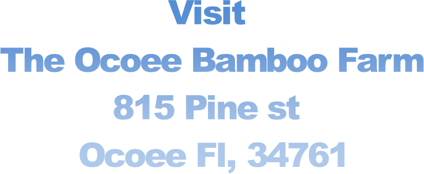 Visit 
The Ocoee Bamboo Farm
815 Pine st 
Ocoee Fl, 34761
